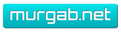 Логотип murgab.net